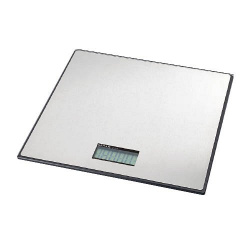 P 42040 B